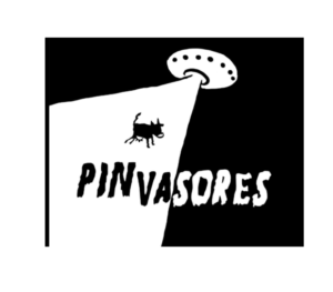 pinnvasores
